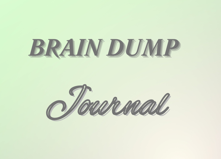 BRAIN DUMP BRAIN DUMP Journal